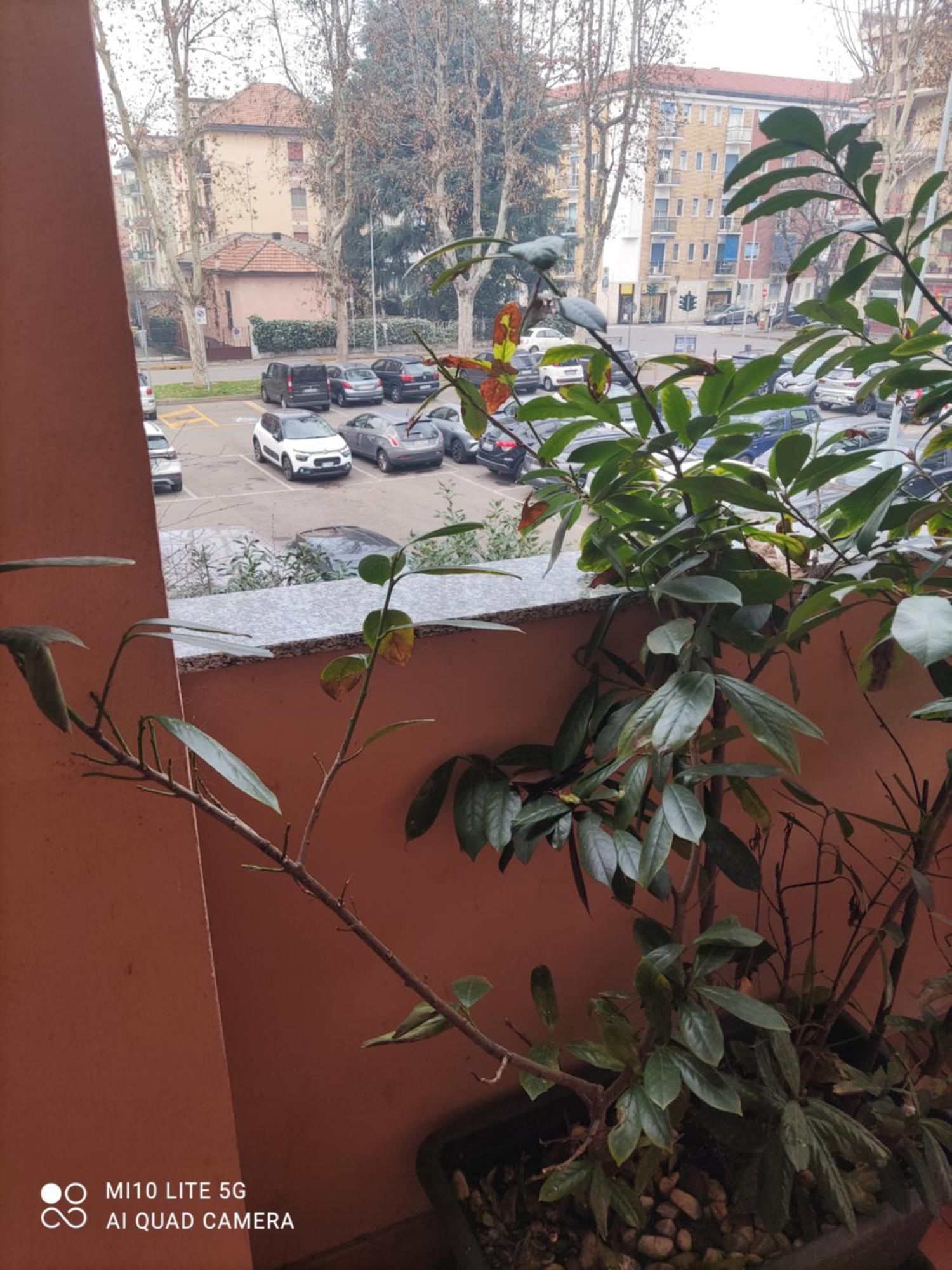 Hostal D'Annunzio House 체사노보스코네 외부 사진